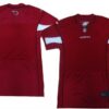 Nike Arizona Cardinals Blank Red Elite Jersey