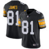 Nike Pittsburgh Steelers #81 Jesse James Black Alternate Men’s Stitched NFL Vapor Untouchable Limited Jersey