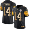 Nike Steelers #14 Sammie Coates Black Men’s Stitched NFL Limited Gold Rush Jersey