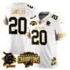 Detroit Lions 2024 NFC North Champions Gold Jersey N2 – All Stitched – Barry Sanders – 20 – White Gold Jersey