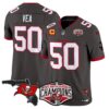 Buccaneers 2024 NFC South Division Champions Patch Vapor Limited Jersey – All Stitched – Pewter – Vita Vea Jersey
