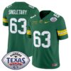 Baylor Bears 2024 Texas Bowl Vapor Limited Jersey – All Stitched – Green – Mike Singletary Jersey