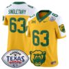 Baylor Bears 2024 Texas Bowl Vapor Limited Jersey – All Stitched – Gold Alternate – Mike Singletary Jersey
