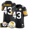 Steelers 50th Anniversary Of Super Bowl IX & Map Patch Vapor Limited Jersey – All Stitched – 1975 Throwback – Troy Polamalu Jersey