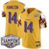 Ravens Maryland Flag 2024 AFC North Division Champions Patch Vapor Limited Jersey – All Stitched – Gold – Kyle Hamilton Jersey