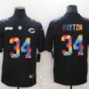Men's Chicago Bears #34 Walter Payton Multi-Color Black 2020 NFL Crucial Catch Vapor Untouchable Nike Limited Jersey