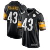 Troy Polamalu Pittsburgh Steelers Nike Retired Player Game Jersey Black