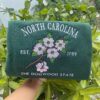 Embroidered North Carolina Dogwood State Sweatshirt