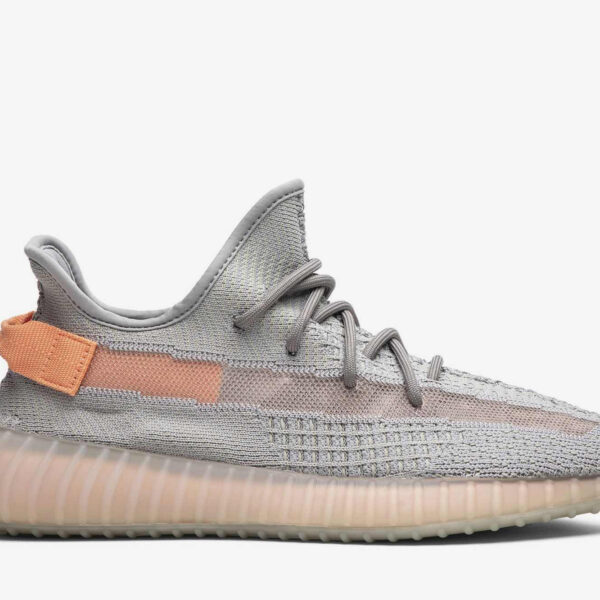 Adidas Yeezy Boost 350 V2 ‘True Form’ EG7492