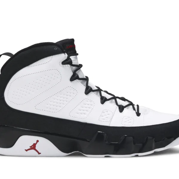 Air Jordan 9 Retro '2010 Release' 302370-102
