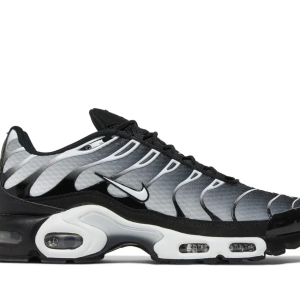 Nike Air Max Plus 'Black Metallic Silver' DM0032-003