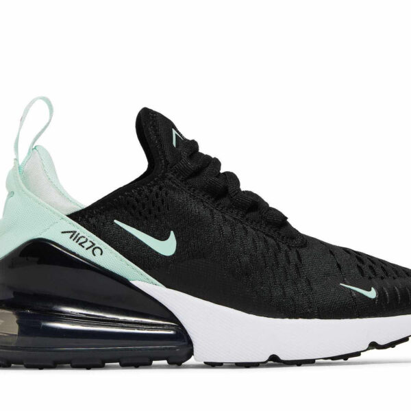 Nike Air Max 270 ‘Igloo’ AH6789-008