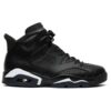 Air Jordan 6 Retro ‘Black Cat’ 384664-020