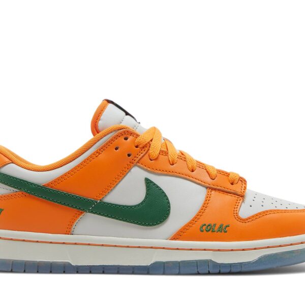 Florida A&M University x Nike Dunk Low ‘We Bragg Different’ DR6188-800