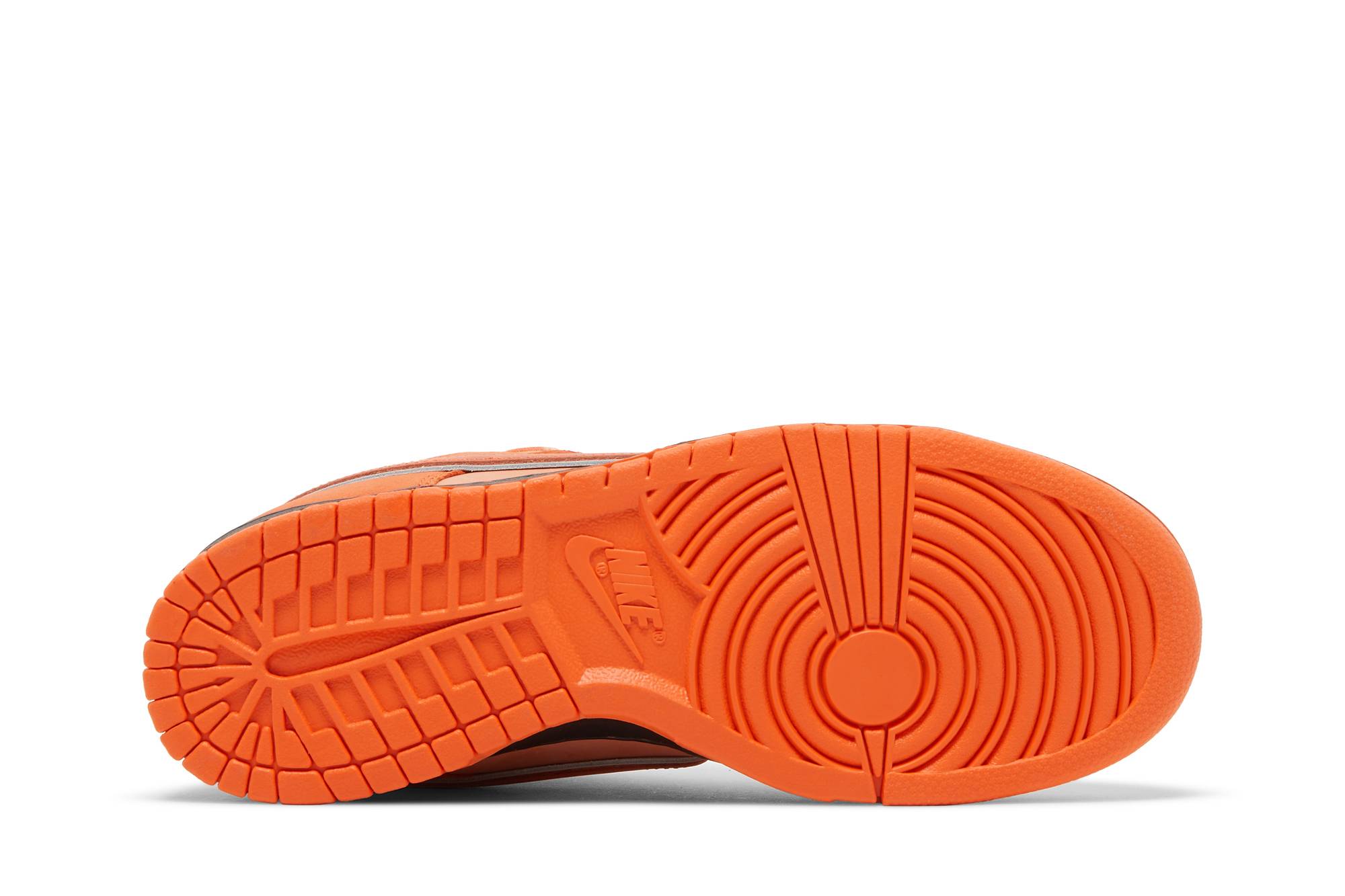 Concepts x Nike SB Dunk Low SP ‘Orange Lobster’ FD8776-800 - Image 5