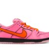 Nike SB Dunk Low x The Powerpuff Girls ‘Blossom’ FD2631-600