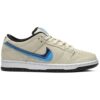 Nike SB Dunk Low ‘Truck It’ [also worn by William Chan] CT6688-200 NJR
