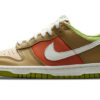 Nike Dunk Low ‘Brown Green’ DV9108-711